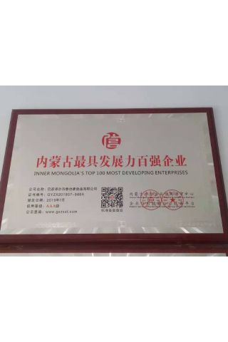 內蒙古較具發展力百強企業